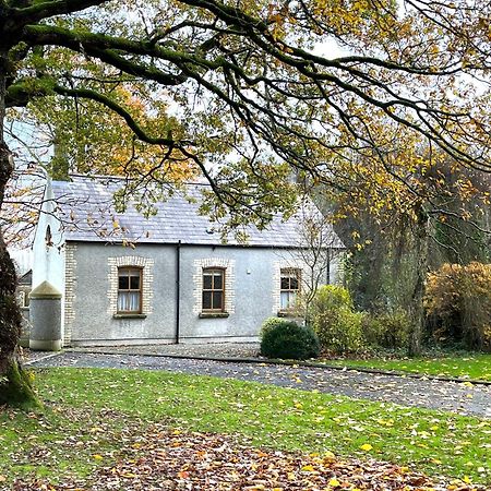 Country Garden House Holiday Homes Ballymoney Buitenkant foto
