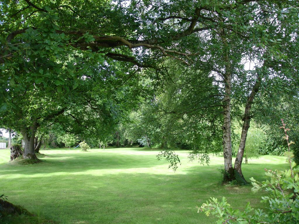 Country Garden House Holiday Homes Ballymoney Buitenkant foto